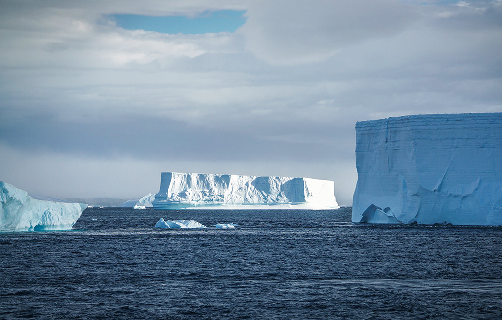 Kreuzfahrt der Superlative - Falkland, Südgeorgien und Antarktis - Lateinamerika