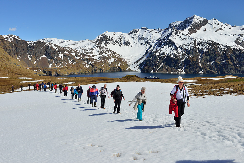 Kreuzfahrt der Superlative - Falkland, Südgeorgien und Antarktis - Lateinamerika