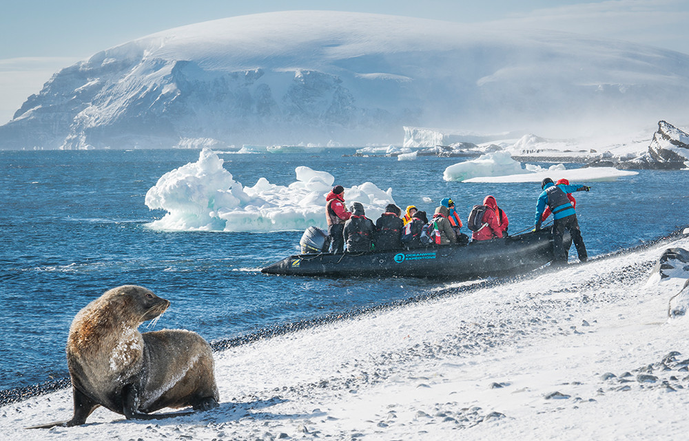 Kreuzfahrt der Superlative - Falkland, Südgeorgien und Antarktis - Lateinamerika