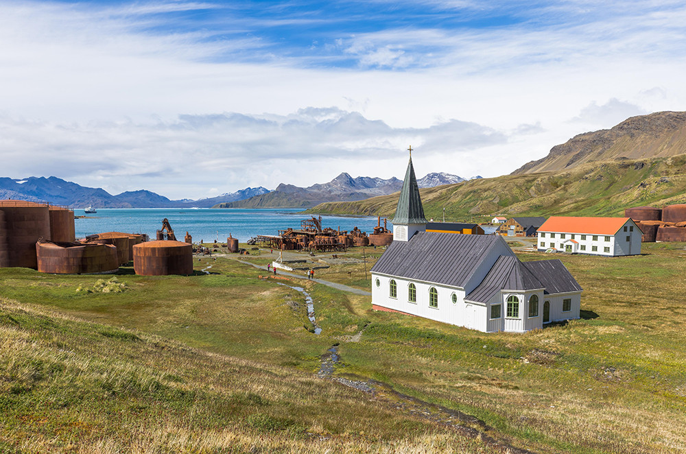 Kreuzfahrt der Superlative - Falkland, Südgeorgien und Antarktis - Lateinamerika