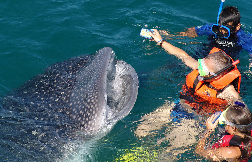 Traumstrand Holbox Mexiko - Lateinamerika