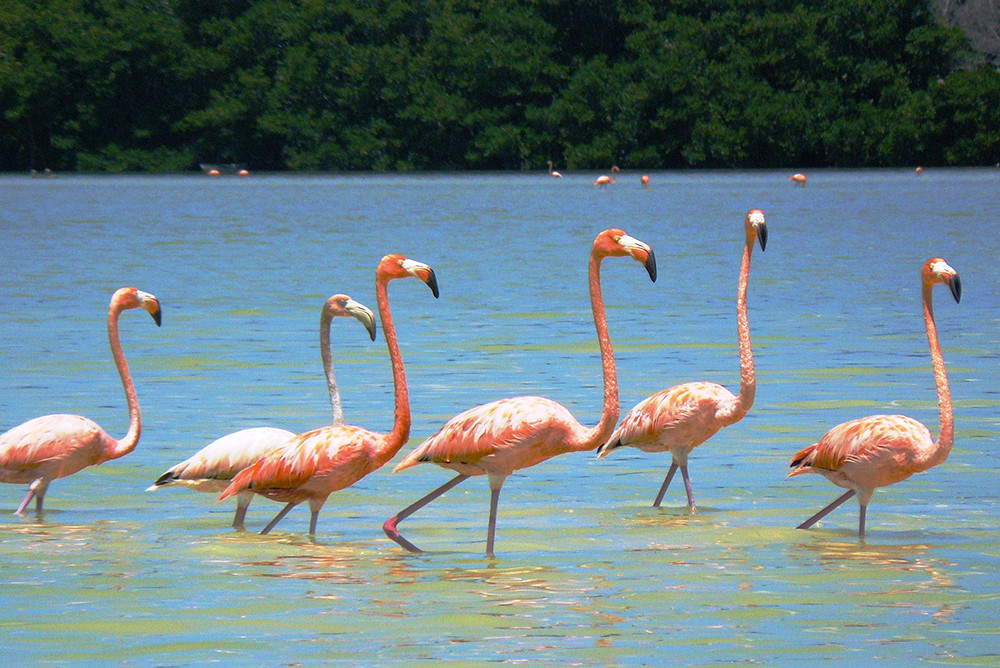 Gruppenreise quer durch Yucatán - Lateinamerika