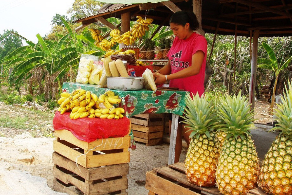 Gruppenreise quer durch Yucatán - Lateinamerika