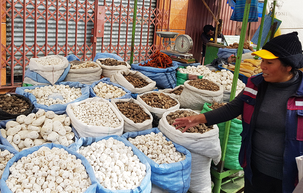 Gruppenreise Karneval & Begegnungen in Bolivien - Lateinamerika