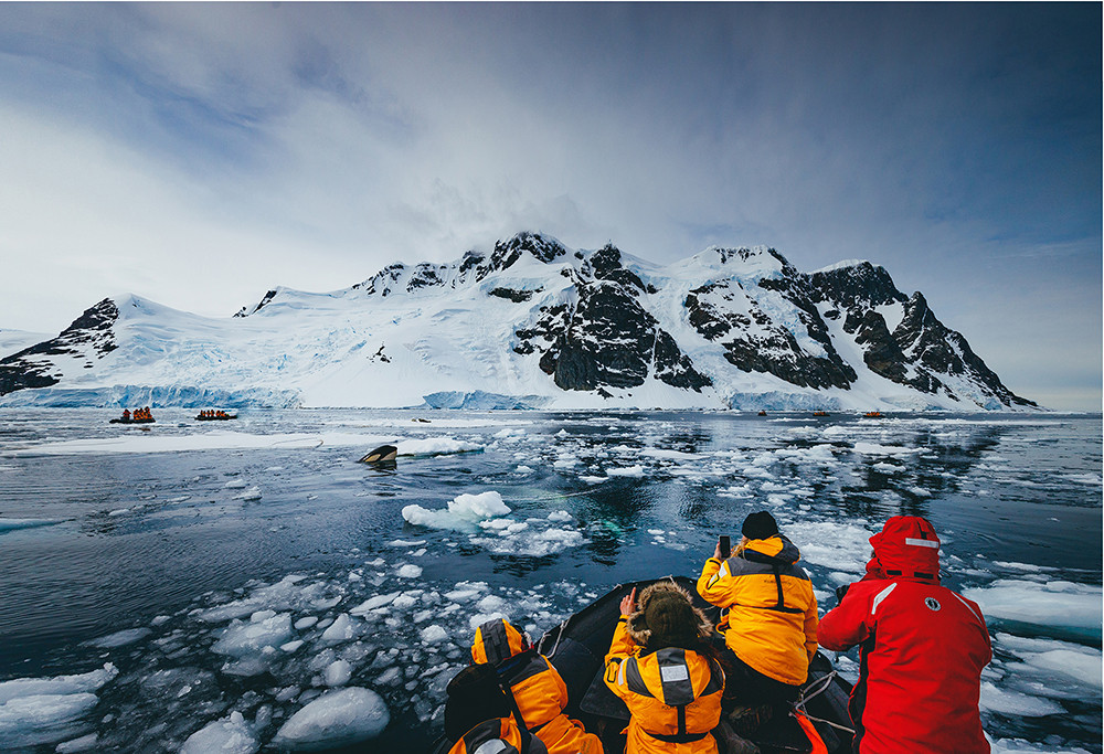 Kreuzfahrt Antarktis und Polarkreis mit Quark Expeditions - Lateinamerika