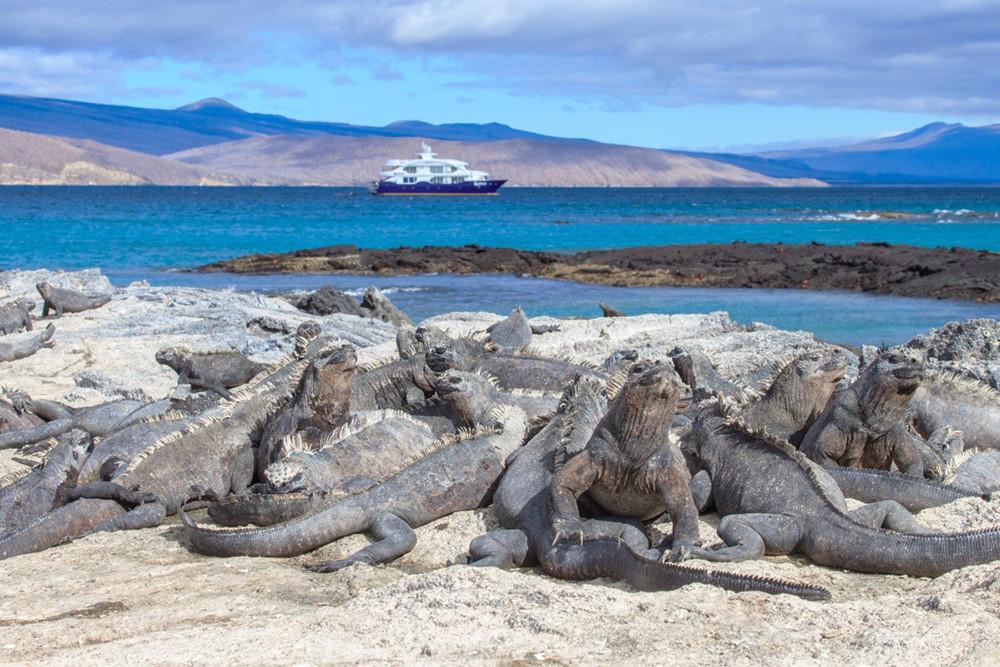 Galápagos Kreuzfahrt auf dem Katamaran Endemic - Lateinamerika