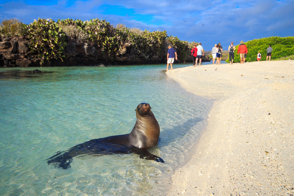 Galápagos Kreuzfahrt auf dem Katamaran Endemic - Lateinamerika