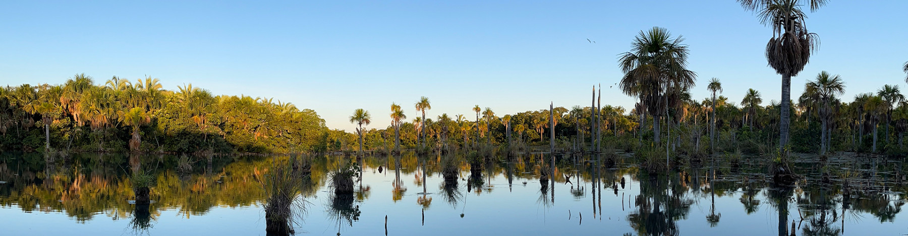 Mietwagenreise Mato Grosso - Cerrado, Amazonien & Pantanal