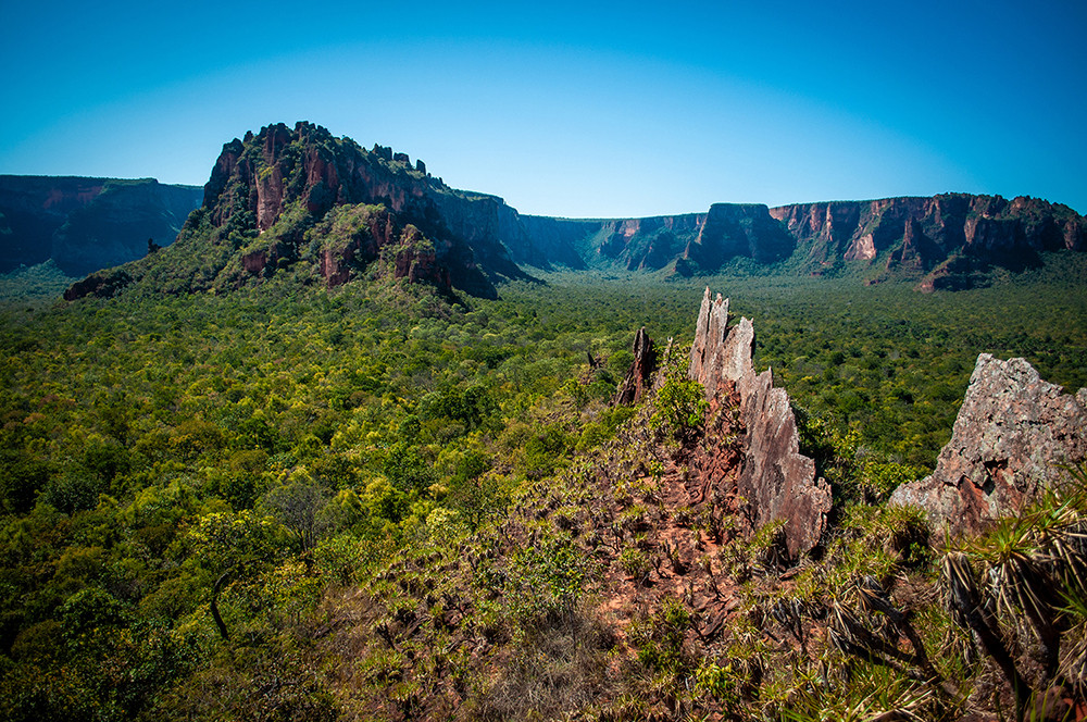 Mietwagenreise Mato Grosso - Cerrado, Amazonien & Pantanal - Lateinamerika