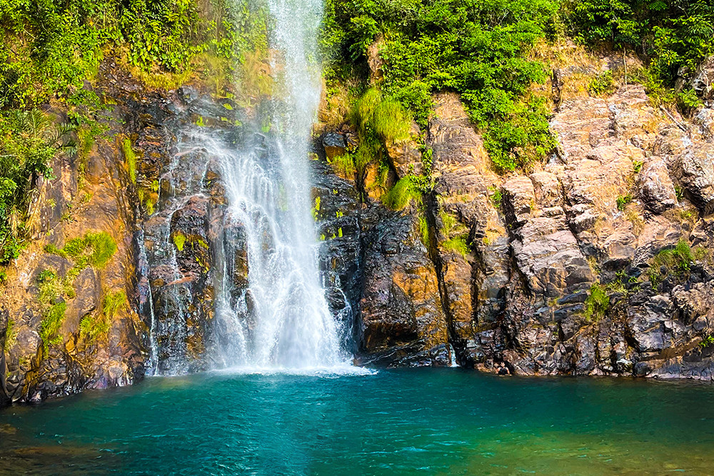 Mietwagenreise Mato Grosso - Cerrado, Amazonien & Pantanal - Lateinamerika