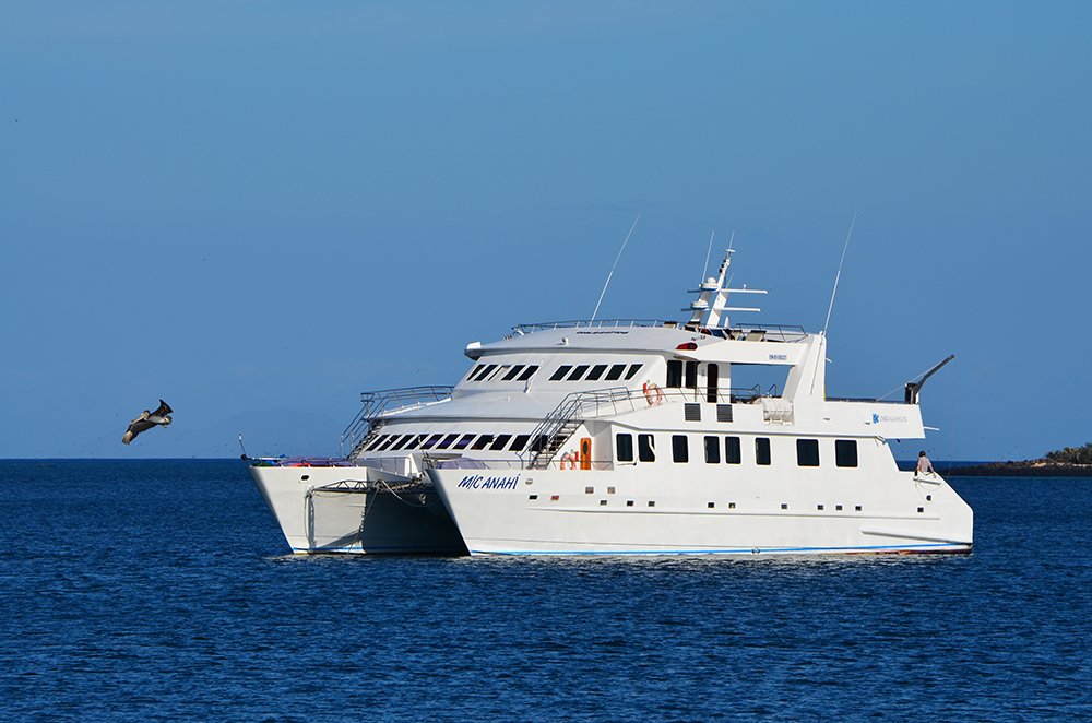 Galápagos Kreuzfahrt auf dem Katamaran Anahi - Lateinamerika