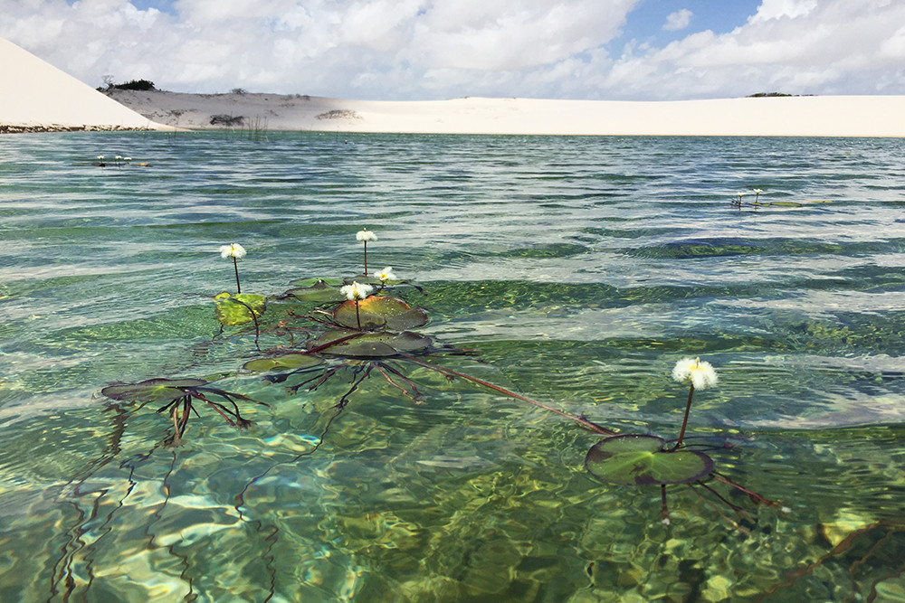 Wüstentrekking Lençóis Maranhenses in Brasilien - Lateinamerika