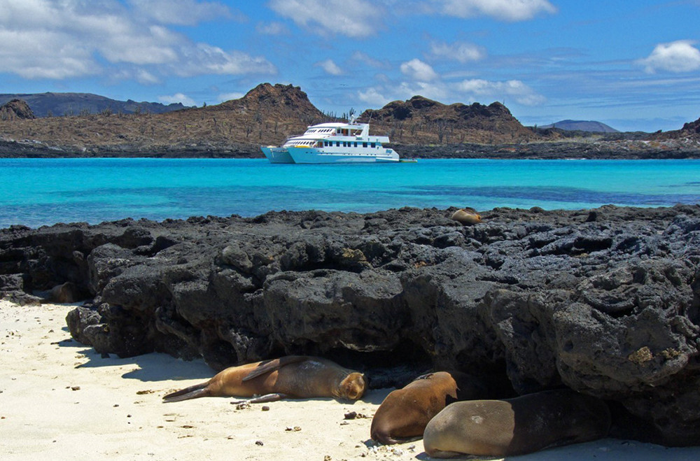 Galápagos Kreuzfahrt auf dem Katamaran Seaman Journey - Lateinamerika
