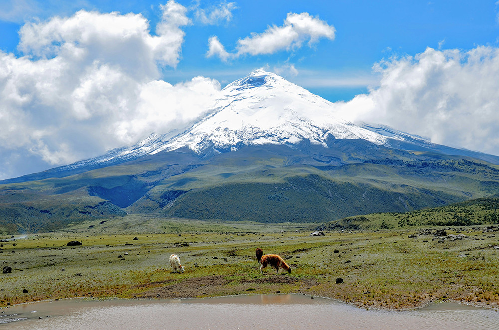 Baustein Trekking Cotopaxi - Lateinamerika