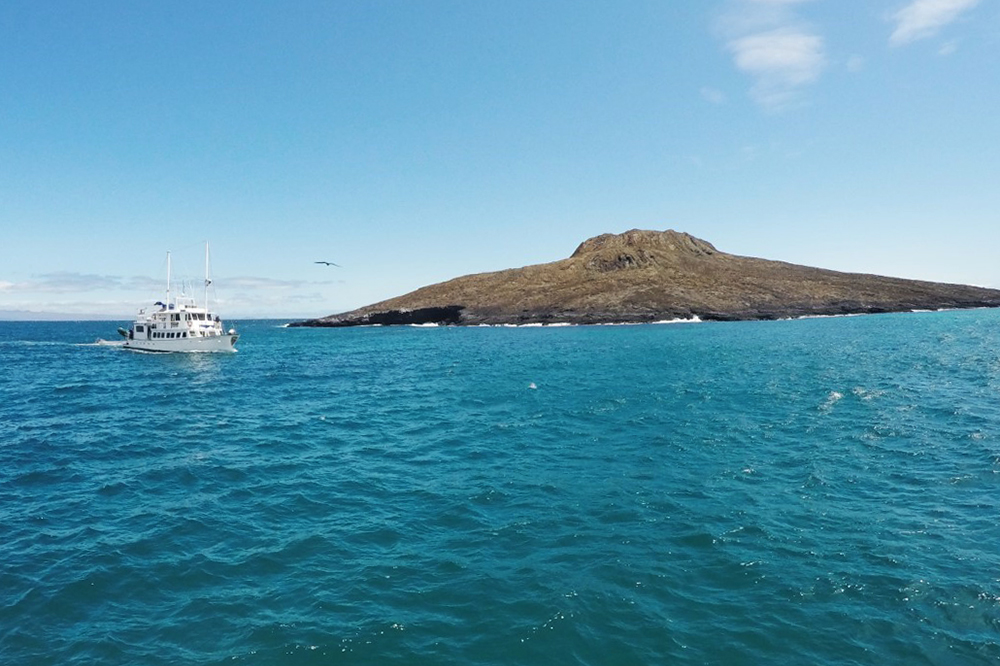 Galápagos Kreuzfahrt auf der Motoryacht Golondrina - Lateinamerika
