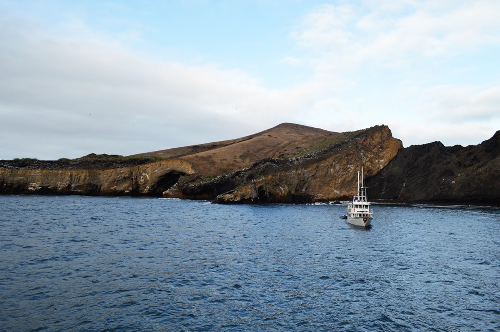 Galápagos Kreuzfahrt auf der Motoryacht Golondrina - Lateinamerika