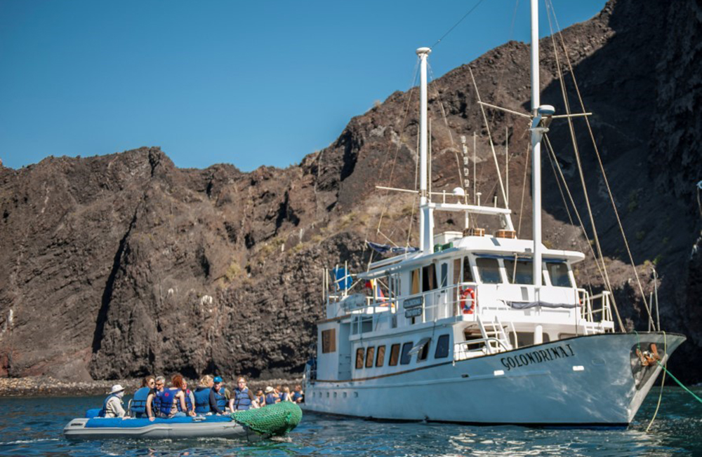 Galápagos Kreuzfahrt auf der Motoryacht Golondrina - Lateinamerika