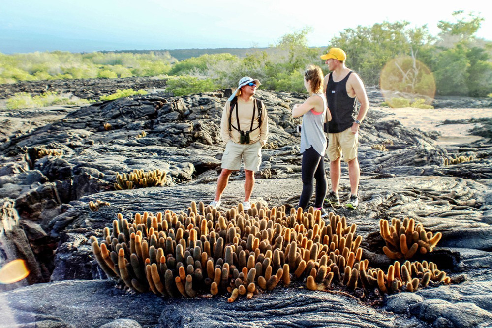 Galápagos Kreuzfahrt auf der Motoryacht Golondrina - Lateinamerika