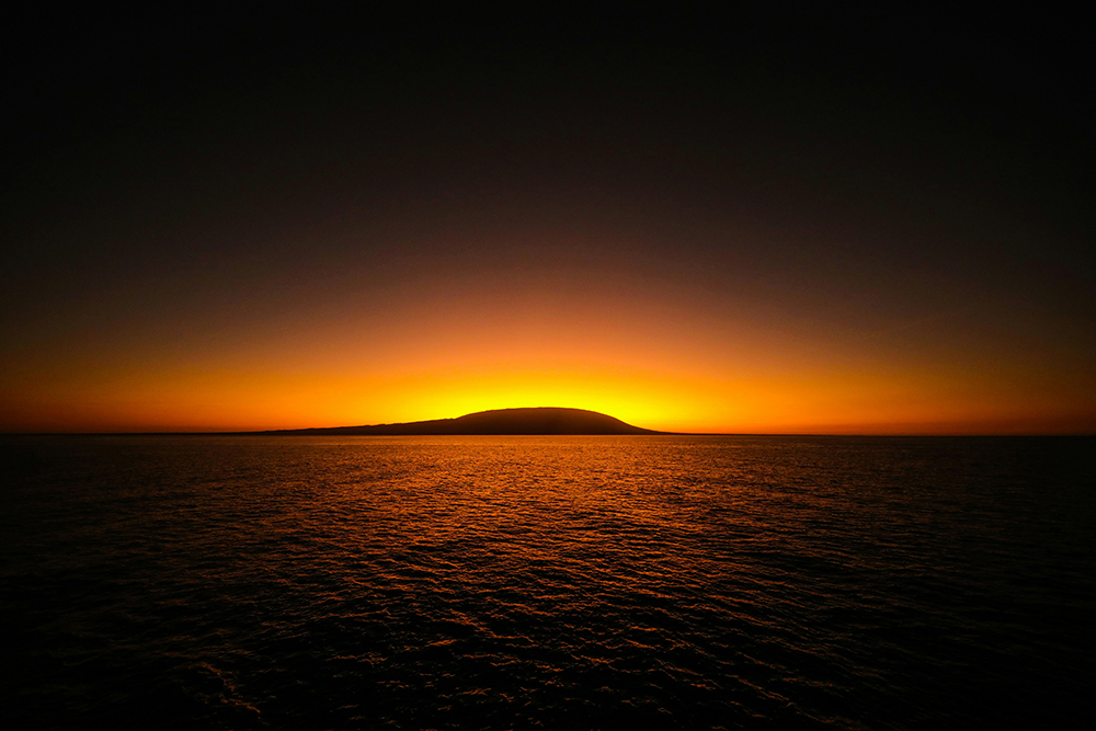 Galápagos Kreuzfahrt auf dem Segelkatamaran Nemo II - Lateinamerika