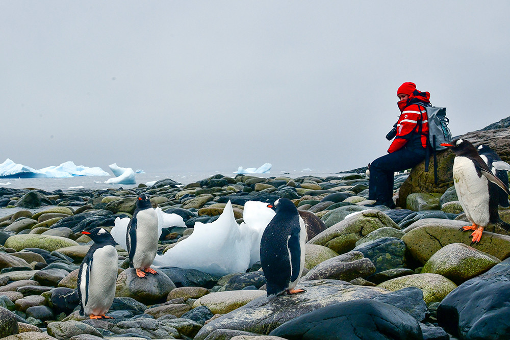 Kreuzfahrt in die Antarktis mit Polar Latitudes - Lateinamerika