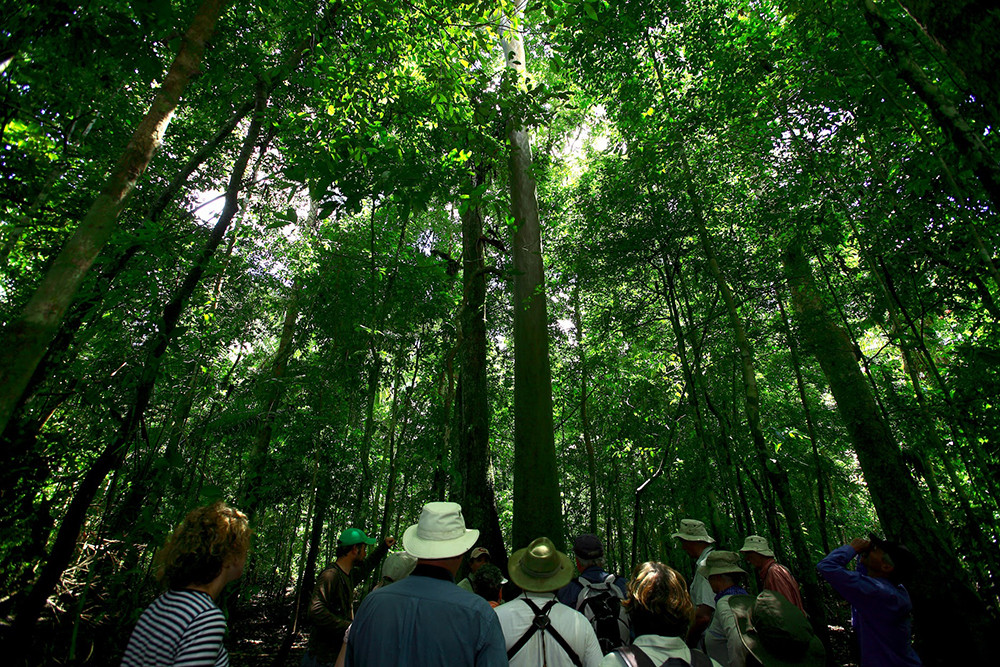 Amazonas Flussfahrt auf der La Perla - Lateinamerika