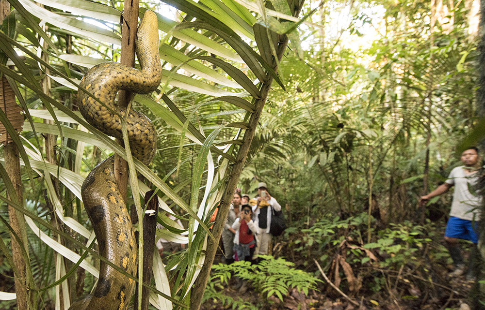 Amazonas Flussfahrt auf der La Perla - Lateinamerika