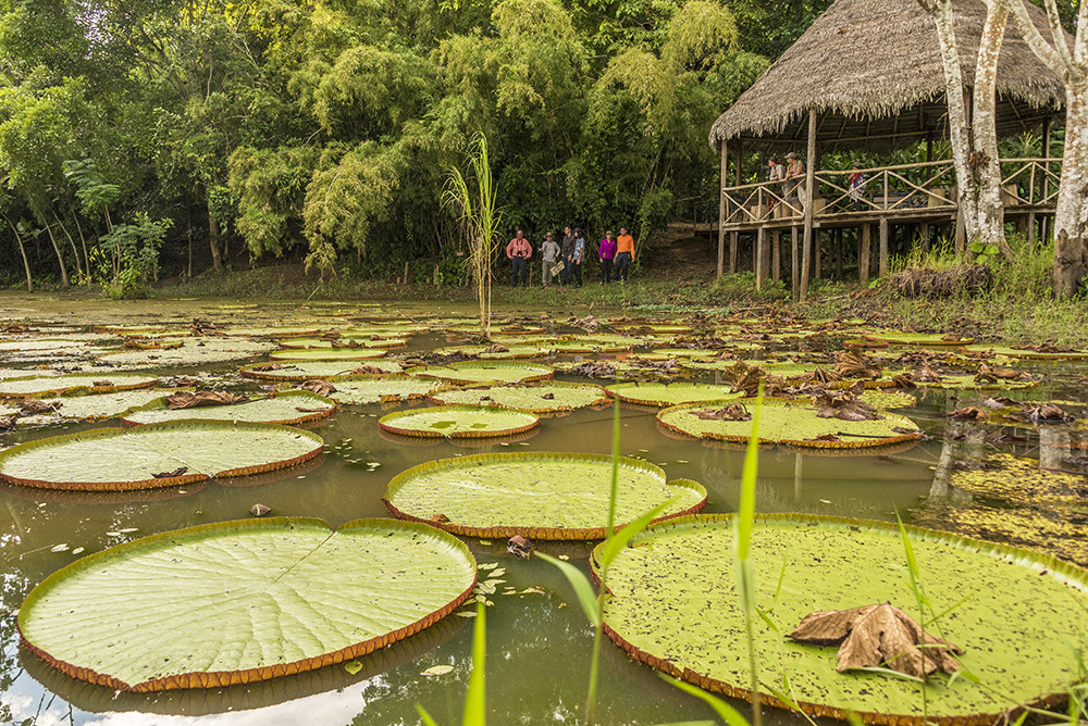 Amazonas Flussfahrt auf der La Perla - Lateinamerika
