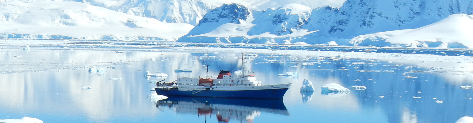 Kreuzfahrt in die Antarktis mit Antarpply Expeditions - Lateinamerika