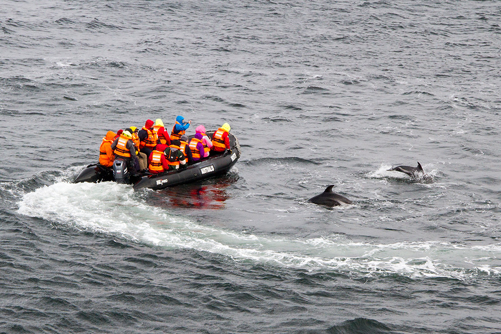 Expeditions-Kreuzfahrt Feuerland & Kap Hoorn ab Punta Arenas - Lateinamerika