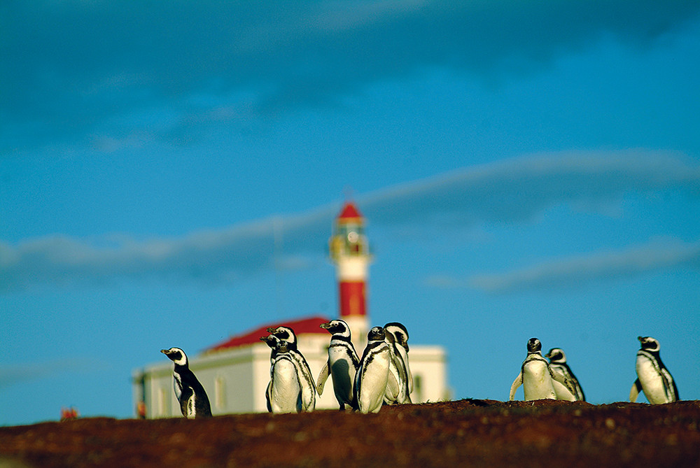 Expeditions-Kreuzfahrt Feuerland & Kap Hoorn ab Punta Arenas - Lateinamerika