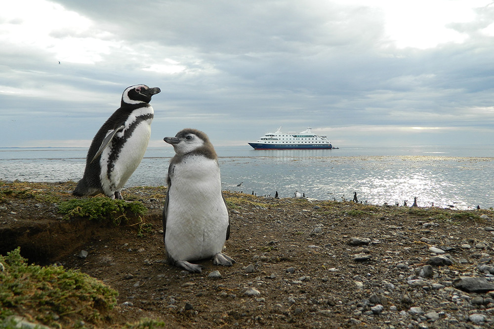 Expeditions-Kreuzfahrt Feuerland & Kap Hoorn ab Punta Arenas - Lateinamerika