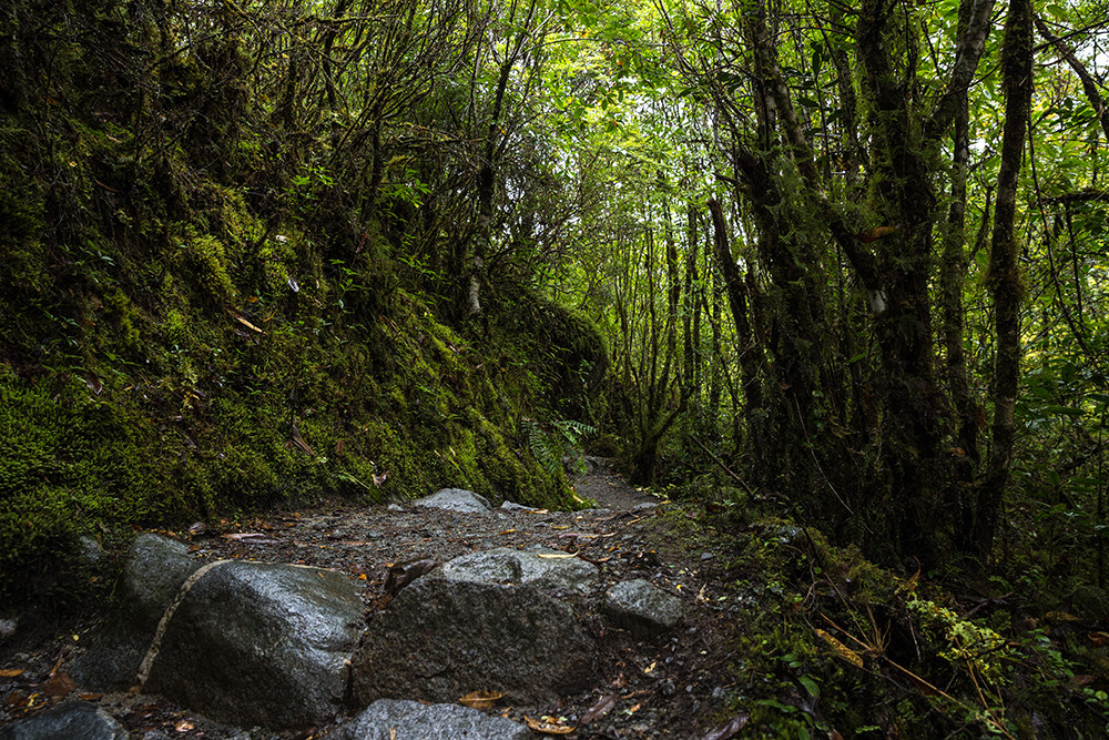 Mietwagenreise Carretera Austral - Bis ans Ende der Traumstraße - Lateinamerika