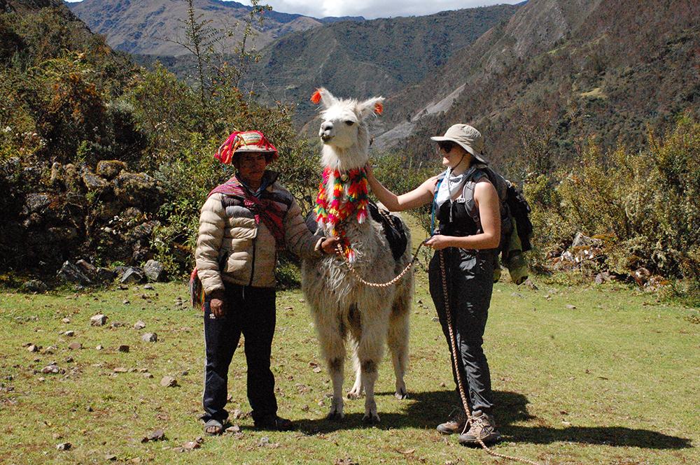 Lama Trekking in den Anden - Lateinamerika