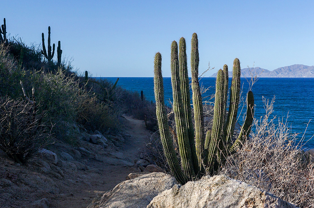 Mietwagenreise Baja California Mexiko - Lateinamerika