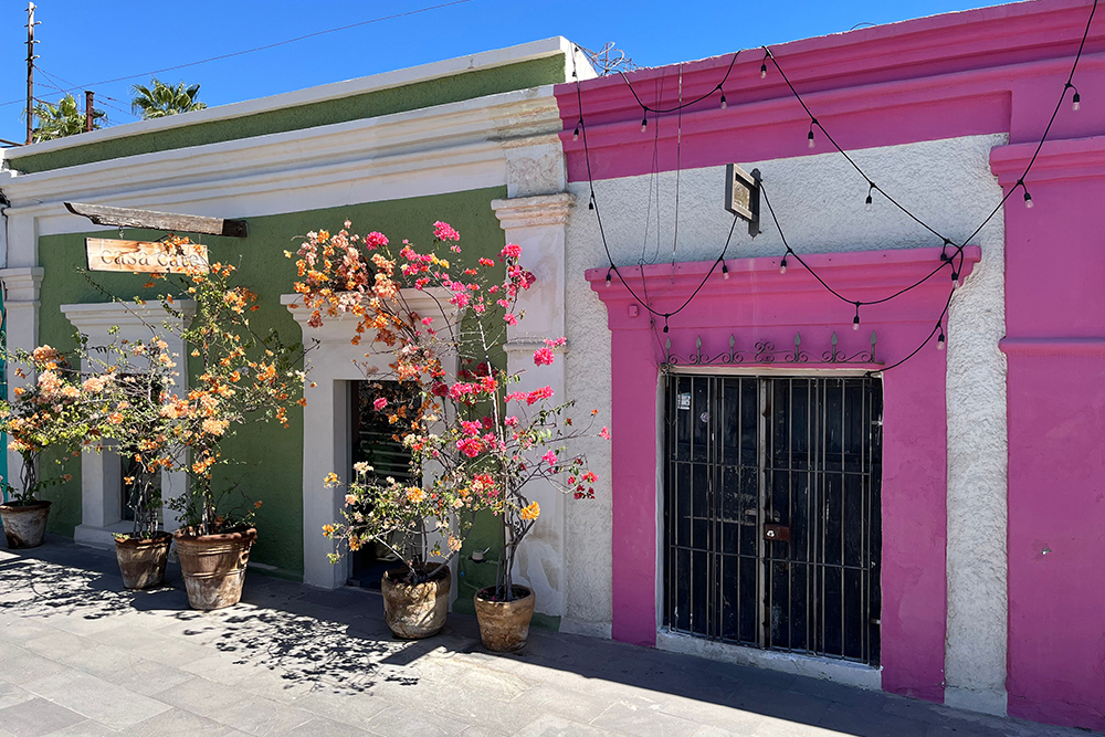 Mietwagenreise Baja California Mexiko - Lateinamerika