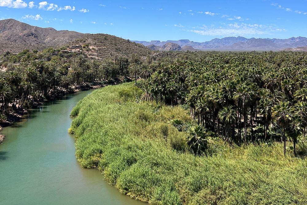 Mietwagenreise Baja California Mexiko - Lateinamerika