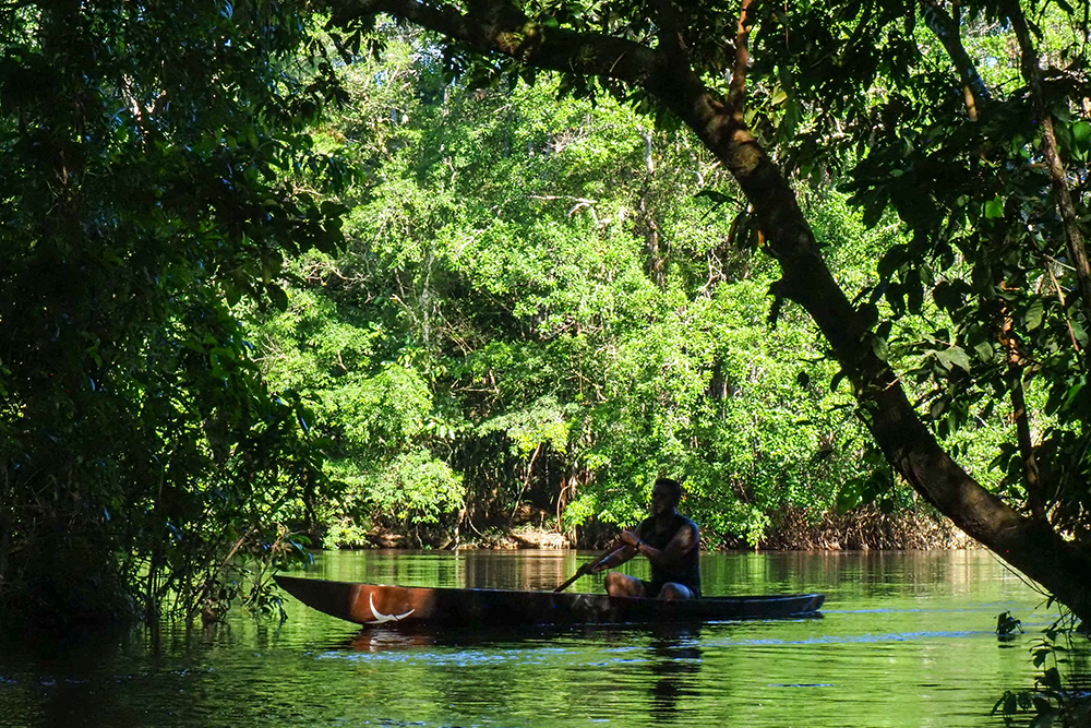 Reisebaustein Amazonas Ecuador - Lateinamerika