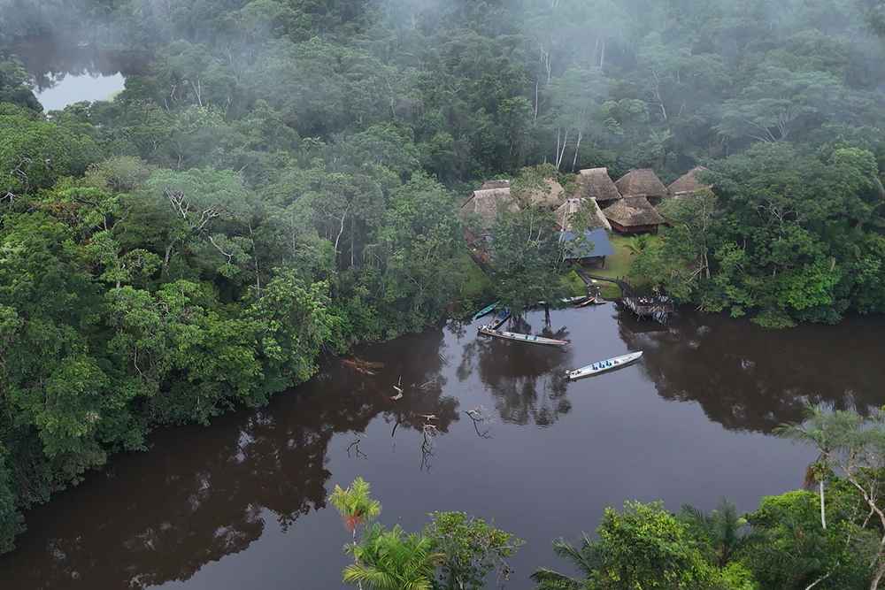 Reisebaustein Amazonas Ecuador - Lateinamerika