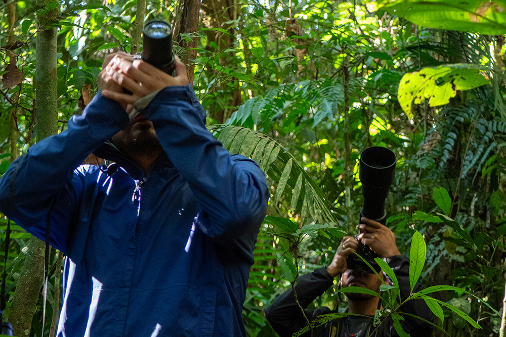Reisebaustein Amazonas Ecuador - Lateinamerika