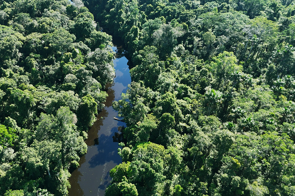 Reisebaustein Amazonas Ecuador - Lateinamerika