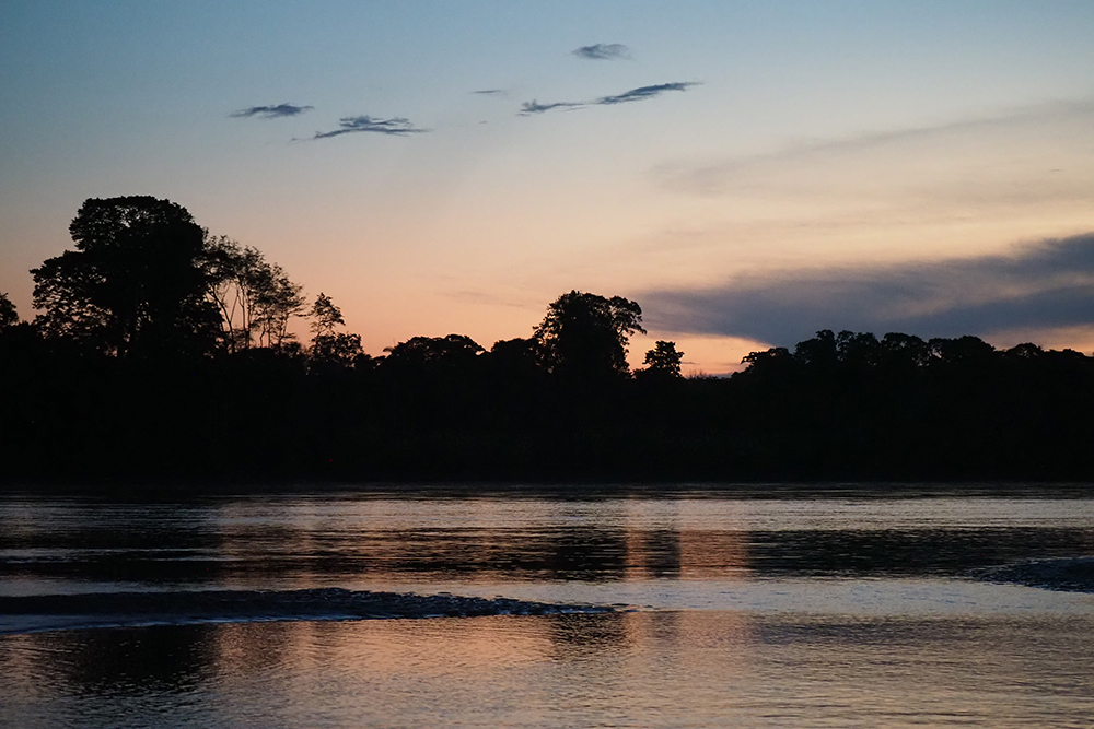 Reisebaustein Amazonas Ecuador - Lateinamerika