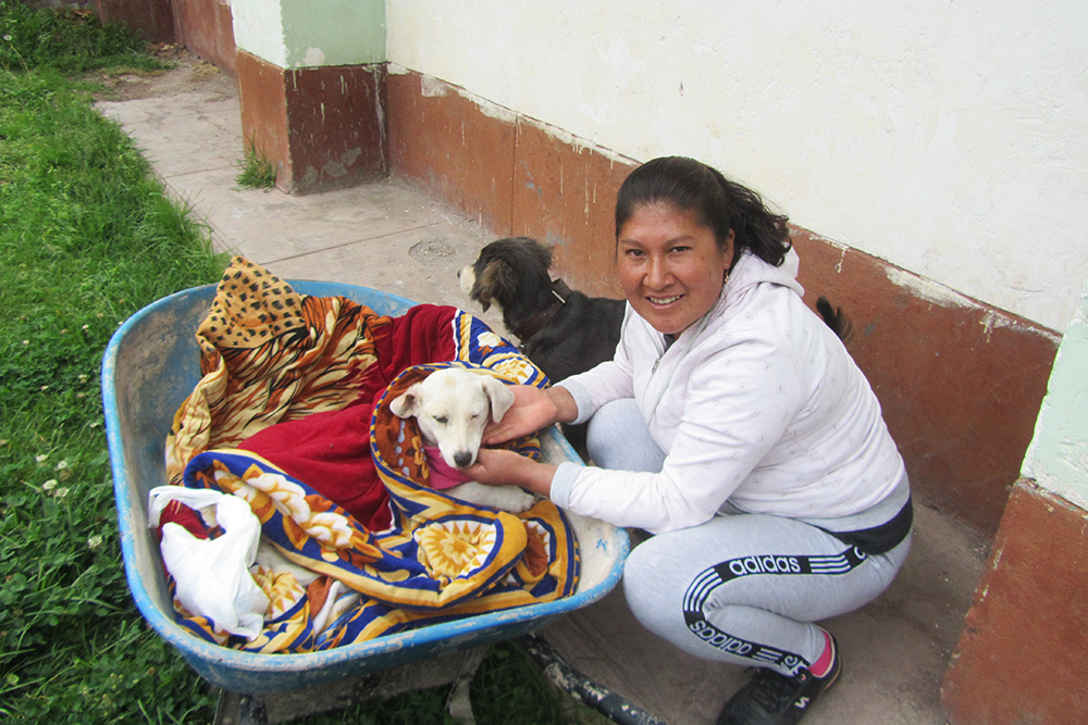 Gruppenreise Insight Peru - Lateinamerika
