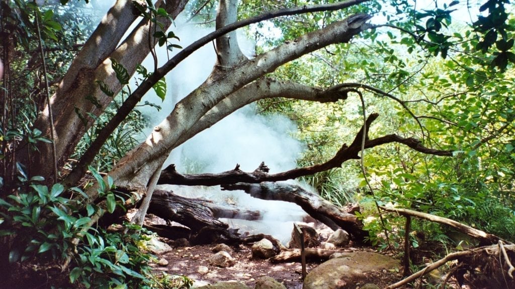 Blick in die Natur, Beitragsbild für die Serie Costa Ricas Nationalparks.