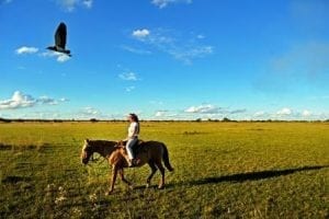 Frau reitet durch das Sumpfgebiet Iberá in Argentinien